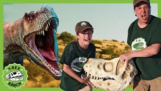 Learn About Dinosaurs Part 1  TRex Triceratops and More  Educational Video for Kids [upl. by Flemings]