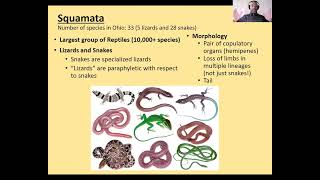 Herpetology Lecture 2 Feb 2022 [upl. by Maroj]