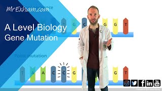 Gene mutation  A Level Biology [upl. by Ellerahs]