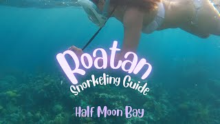 ROATAN HONDURAS  West End Snorkeling Guide to Half Moon Bay [upl. by Natal]