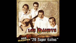 Los Dandys  Sus Mejores quot20 Super Exitosquot Disco Completo [upl. by Jepum111]