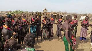 Hamar Tribe Singing and Dancing in Omo Valley Ethiopia [upl. by Ahsaenat]