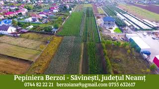 Pepiniera Berzoi  Savinesti  Pepinieră pomi fructiferi puieti de trandafir butasi de vie zmeura [upl. by Eitra387]