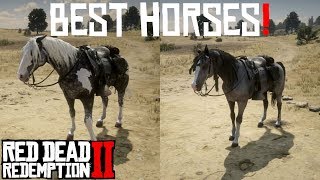 RDR2 Best horses  How to obtain [upl. by Ecnarf]