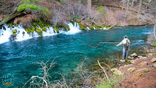 Fly Fishing for some of the coolest fish on the planet Bull Trout Pt 1 [upl. by Elianora]