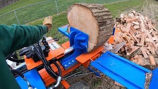 Box Wedge Splitting 22quot Red Oak Rounds [upl. by Kay]