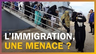 Limmigration menacetelle la démographie française [upl. by Naryt923]