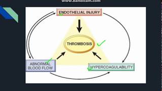 Thrombosis [upl. by Jessey]