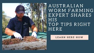 Australian Worm farming expert shares HIS TOP TIPS [upl. by Lottie]