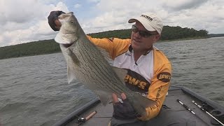 FOX Sports Outdoors SouthWEST 27  2016 Skiatook Lake Oklahoma Hybrid Striper Fishing [upl. by Dorian]