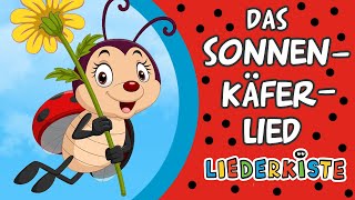 Das Sonnenkäferlied Erst kommt der Sonnenkäferpapa  Kinderlieder zum Mitsingen  Liederkiste [upl. by Einwahs229]