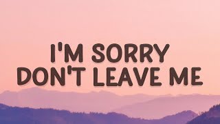 SLANDER  Im sorry dont leave me I want you here with me Lyrics  Love Is Gone [upl. by Neelahtak]