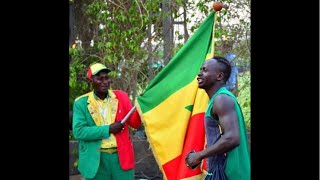 Accueil des lions du Sénégal à l’aéroport Léopold Sédar Senghor Allez les lions [upl. by Rupert794]