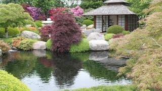 An extraordinary Japanese garden  Un jardin japonais extraordinaire [upl. by Gomer]