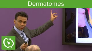 Dermatomes Overview – MRCS  Lecturio [upl. by Martelli]