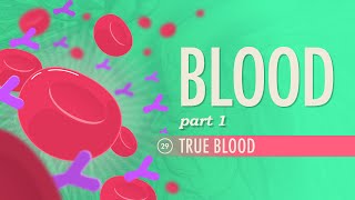 Blood Part 1  True Blood Crash Course Anatomy amp Physiology 29 [upl. by Bella121]