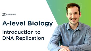 Introduction to DNA Replication  Alevel Biology  OCR AQA Edexcel [upl. by Llib]