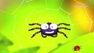 Eensie Weenshie Spider  ToonBo HD [upl. by Nennerb]