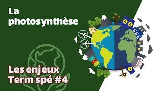 La photosynthèse  SVT  ENJEUX Term spé 4  Mathrix [upl. by Menendez559]