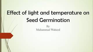 Effect of Light and Temperature on Seed Germination [upl. by Martyn]