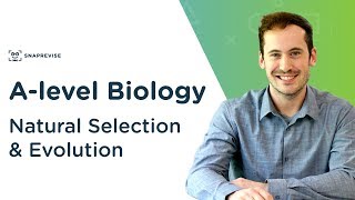 Natural Selection amp Evolution  Alevel Biology  OCR AQA Edexcel [upl. by Leckie]