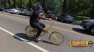 Bikes on the Blvd  Lowrider Cruise Custom Bicycles  Los Angeles California [upl. by Bellanca418]