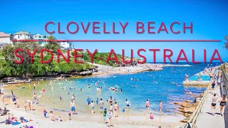 Clovelly Beach [upl. by Blas]