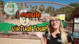 1 minute tour of the Phoenix Herpetological Sanctuary [upl. by Doownelg]