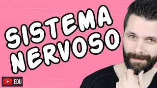 SISTEMA NERVOSO  FISIOLOGIA  Aula  Biologia com Samuel Cunha [upl. by Beaulieu]