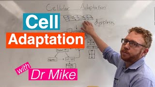 Cell adaptation [upl. by Fanestil]