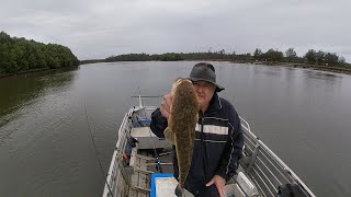 Caboolture River Fishing 9th September 2022 [upl. by Attebasile]