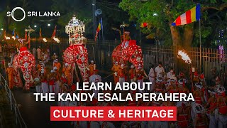 The Elements of the Esala Perahera  So Sri Lanka [upl. by Anailuy]