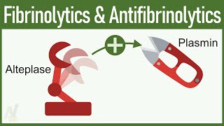 Fibrinolytics amp Antifibrinolytics Pharmacology [upl. by Fidelio476]