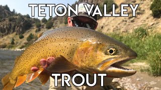 Teton Valley Trout  Ultimate Idaho Fly Fishing [upl. by Wendell]