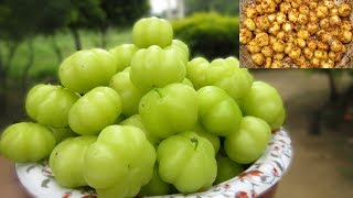 Fresh Star Gooseberry Recipe  Simple and Easy Recipe  VILLAGE FOOD [upl. by Nevram]