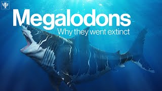 The Truth Behind Why Megalodon Went Extinct  Encyclopaedia Britannica [upl. by Yeung]