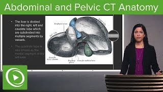 Normal Abdominal amp Pelvic CT Anatomy Algorithm – Radiology  Lecturio [upl. by Weinstock]