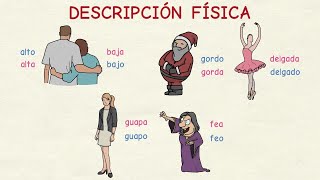 Aprender español Vocabulario descripción física nivel básico [upl. by Niaz]