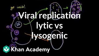 Viral replication lytic vs lysogenic  Cells  MCAT  Khan Academy [upl. by Rodrich414]