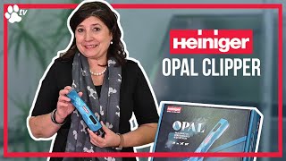 Heiniger Opal  Cordless Battery Clipper for Grooming  TRANSGROOM [upl. by Nnaycnan]