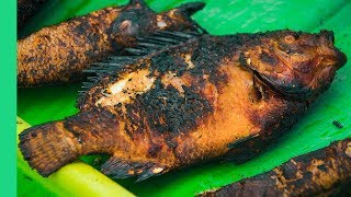 Mekong Charred Freshwater Fish  The Ultimate MEKONG DELTA Tour Day 2 [upl. by Silda]