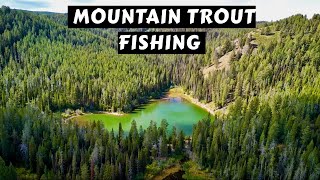 Mountain Trout Fishing Paradise  Idaho [upl. by Ynaffets]