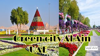 Al Ain City In UAE  Green city Al Ain  al ain paradise garden [upl. by Ebag438]