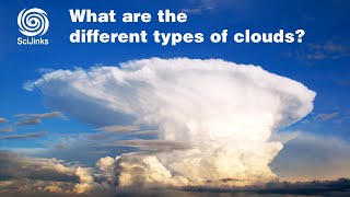 What Are the Different Types of Clouds [upl. by Cirek]