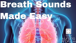 Simple Nursing Breath Sounds Made Easy [upl. by Swenson852]