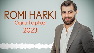 Romi Harki  Cejna Te Pîroz [upl. by Brent]