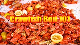 ANNUAL 2019 CRAWFISH BOIL  Basic Crawfish Boil 101 [upl. by Onitnas]