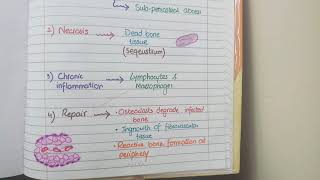 Acute Osteomyelitis And Chronic Osteomyelitis  Pathology [upl. by Annmarie]