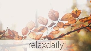 relaxdaily  N°013 official video  Season 1 Album Version [upl. by Baggett777]