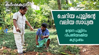 ചെറിയ പുല്ലിന്റെ വലിയ സാധ്യത ​​ Garden Grass  Dwarf Mondo Grass  Karshakasree [upl. by Anomor]